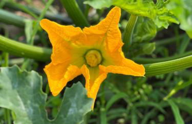 Gite de l'Oeil - Foto 30