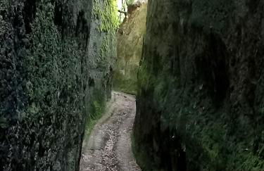 Casa del Sorriso - Foto 17