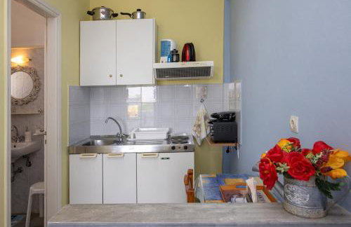 Irini Studios in Tinos - Foto 60