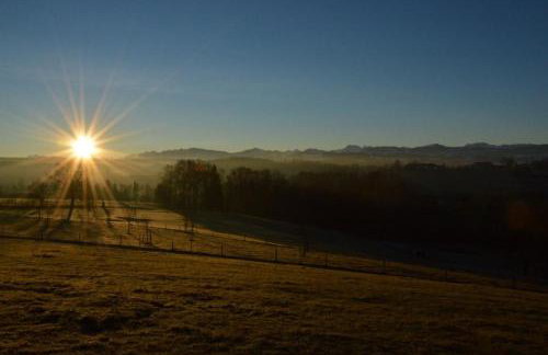 Bergkiefer - Ferienwohnung - Foto 21