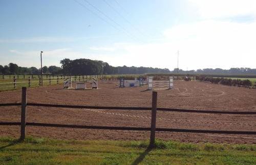 Ferienhaus Poppe - Foto 6