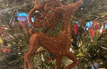 Luxury Townhome in Exclusive Eagle Bend - Photo 54