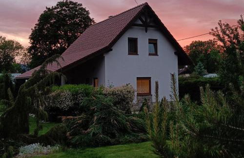 Pod klonem z Balią i Sauną - Foto 1