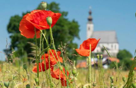 Landhaus Fürberger - Foto 65