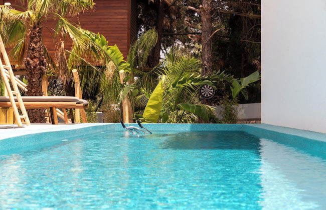 D Palm Premium Living - Foto 64