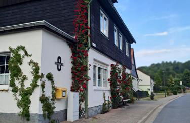 Sonniges Apartment Altenbrak - Foto 23