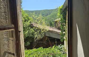 Perched Nest in Cevennes Mountains, relaxing place - Photo 63