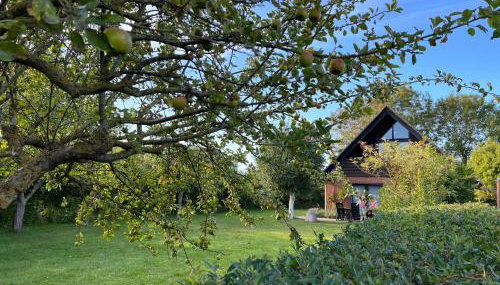 Ferienhaus Westermarkelsdorf - Foto 3