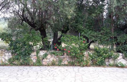 The Stone House-Zacharatos Nikolaos - Photo 4