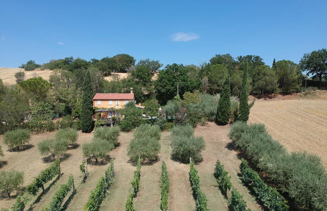 Home set in Olive Grove With Stunning Views - Foto 38