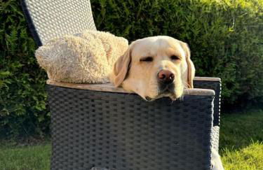 FeWo Krabbenbude - modern und fußläufig zum Strand - Foto 23