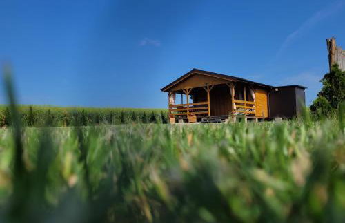 Mazurski Zakątek Skarlin - Foto 19