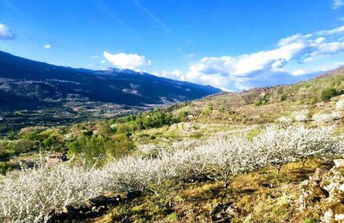 Mi Valle Rural - Foto 14
