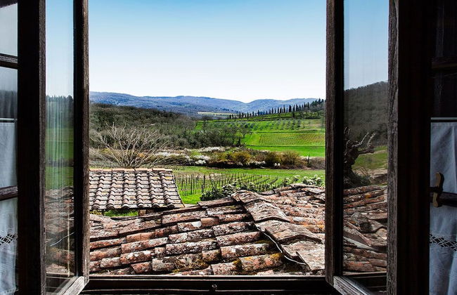 Podere Terreno alla Via della Volpaia - Foto 25