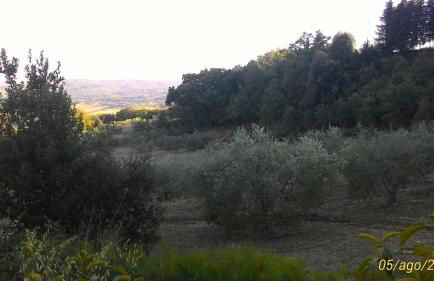 La Casa dei Sogni - Foto 25