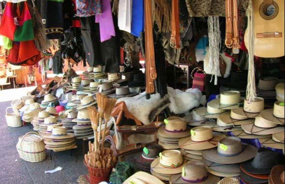 Tour de vinhedos e adegas pelo vale de Itata - Foto 7