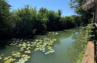 Studio St Florentin 2 - Foto 20