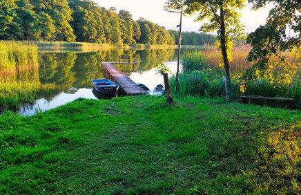 Cisowa Ostoja - Foto 33