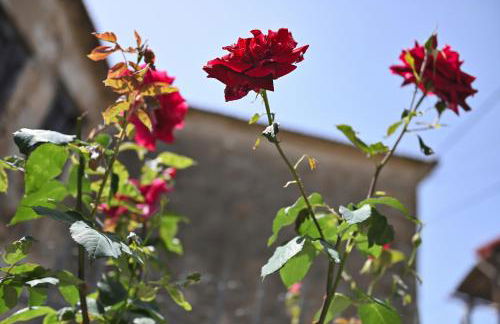 Ιkia Zmas - Foto 40