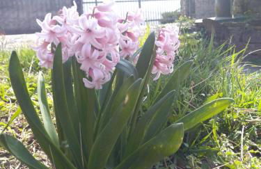 Agriturismo Il Burlino Apartments - Foto 41