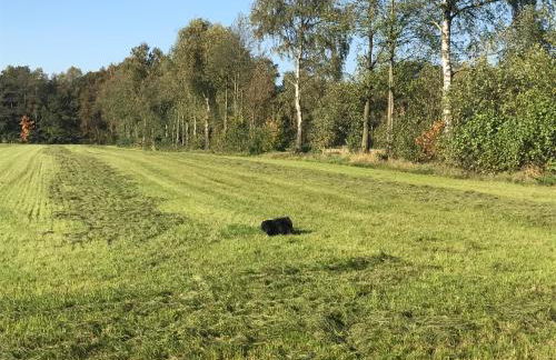 Ferienwohnung am Komisenpad - Foto 21