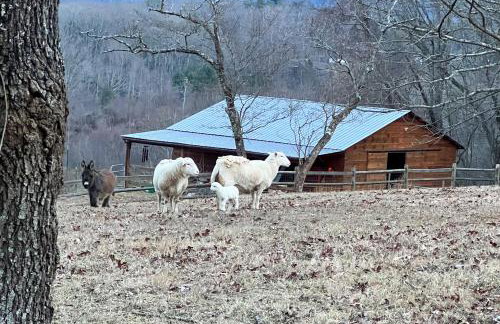 Guest House at Firefly Ridge - Foto 19