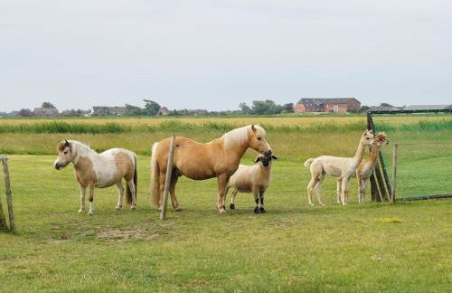 Norderlands - Photo 9