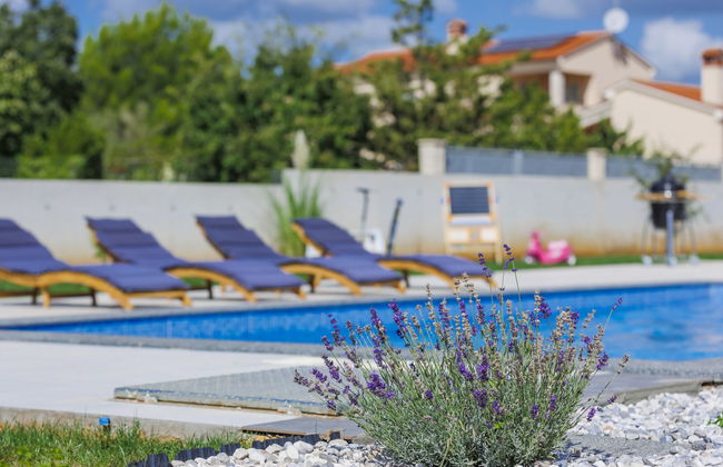 Black&White - Foto 16