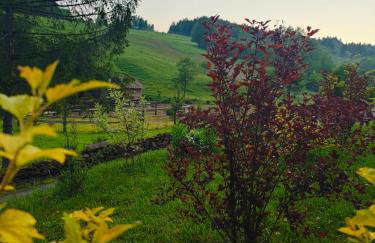 Domki w Bieszczadzkiej Dolinie - Foto 43