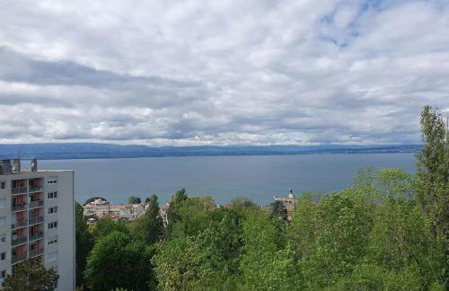 Superbe appartement Evian - Foto 13