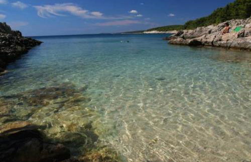 Sea apartment by beach Vine, olive oil tasting, kajaks, grill - Photo 74