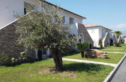 A SUARA LINDA - Foto 12