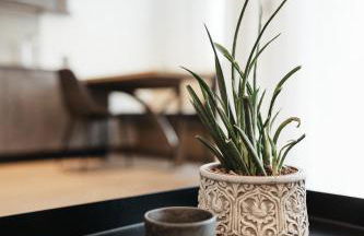 Appartamenti Ciasa Hanny - Foto 20