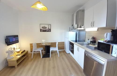 Appart 2 lits tv Wifi Parking Jardin - Foto 9