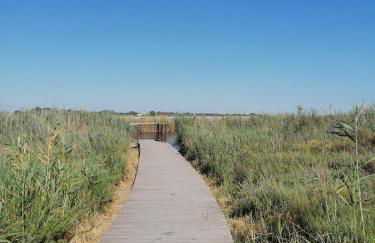Marina à Aigues Mortes - GARD - Foto 21