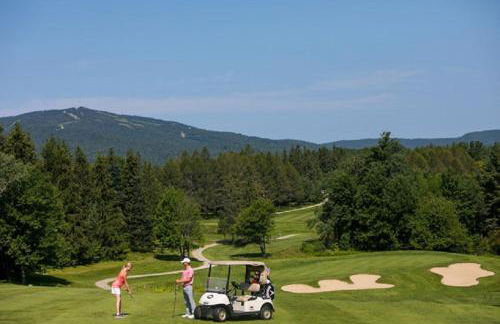 The Brookside Lodge & Cottage - Foto 35