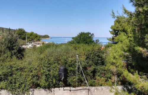 Holiday home in Ugljan - Insel Ugljan 7464 - Foto 12