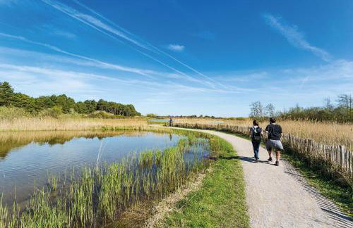 Les cigognes gites de la reserve - Foto 2