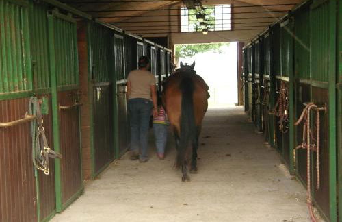 Agriturismo Fano's Farm - Foto 45