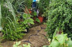 gemütliche Zimmer im Einfamilienhaus - Foto 15