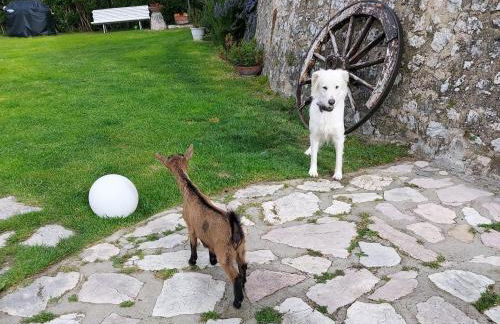 Agriturismo campagna in compagnia - Foto 35