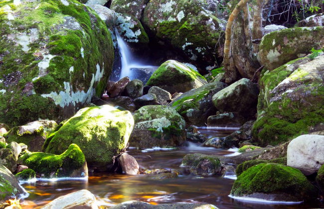 Skeleton Gorge Hiking Tour from Cape Town - Photo 1