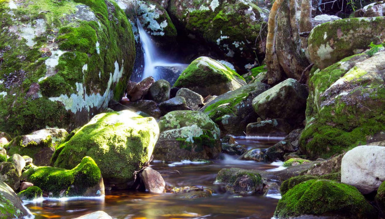 Garganta de los Esqueletos