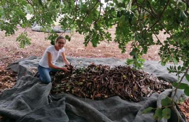 Agriturismo Baglio Calanchi - Foto 34