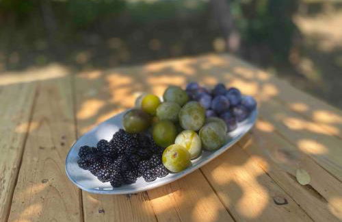 Peaceful gîte with stunning pool near market town - Foto 26