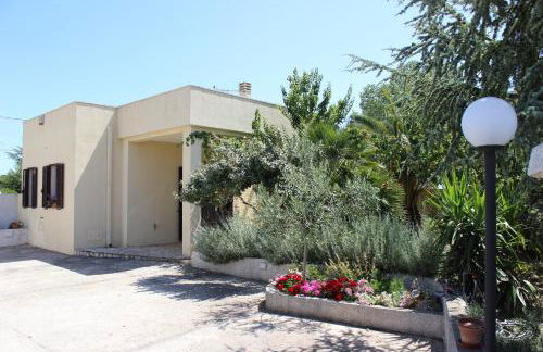 Fiordilavanda - Foto 18