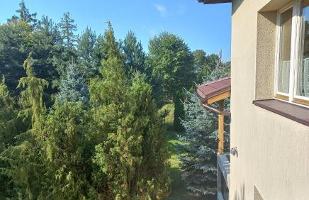 Apartamenty Warka - Foto 7