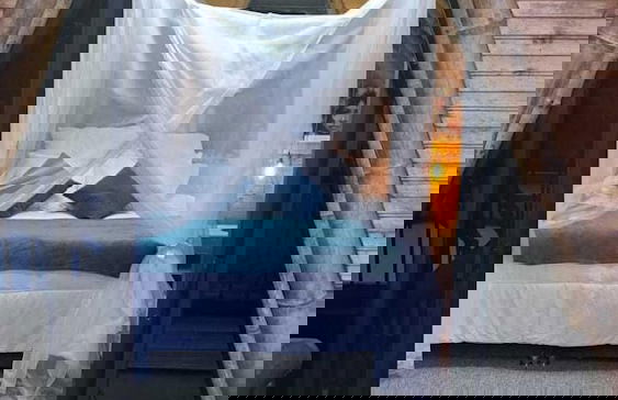 Ecohotel el Obelisco - Foto 4