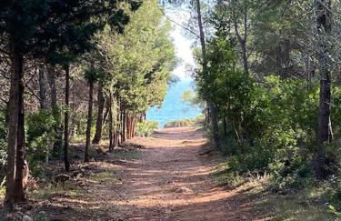 VILLA CARMEN - Foto 2