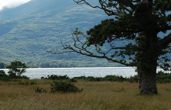 Innisfallen Holiday Village - Foto 12